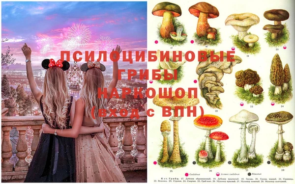 прущий лед Абинск
